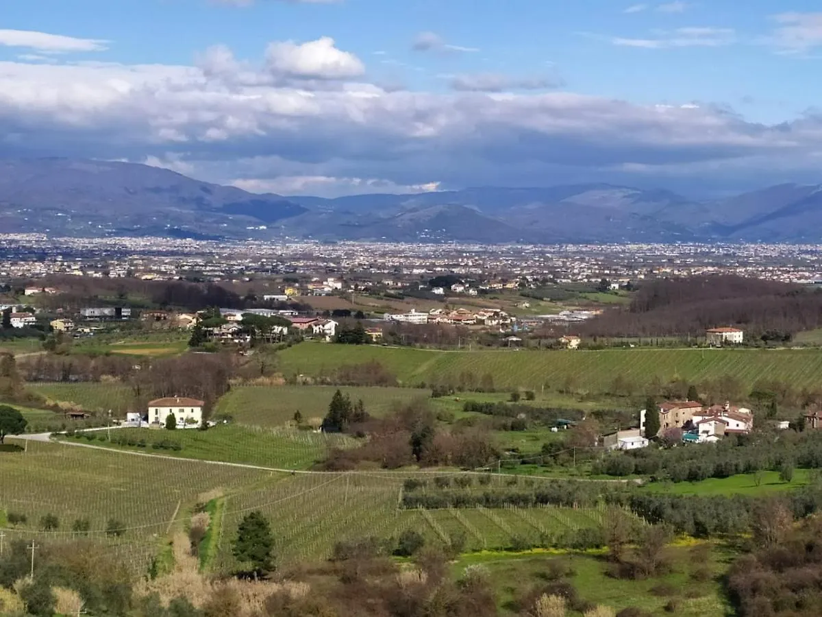 Casa L Oliveta Apartment Montemagno  Italy